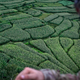 Image for article titled 23 Amazing Labyrinths To Get Lost In